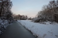 Sloot in Loetbos, Natuurgebied Loetbos, Mazhar Uzun