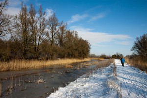 De Brabantse biesbosch