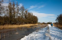 De Brabantse biesbosch