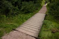 brug, Natuurgebied Loetbos, Mazhar Uzun