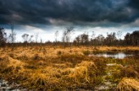 Oerland, Nationaal Park De Groote Peel, Hans Dirix