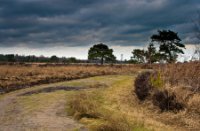 Transportweg, Nationaal Park De Groote Peel, Hans Dirix