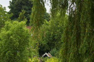 Kolhorn mooi groen midden in het dorp