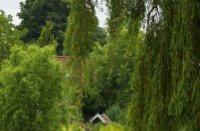 Kolhorn mooi groen midden in het dorp, Kolhorn, watertje midden in het pittoreske dorpje Kolhorn