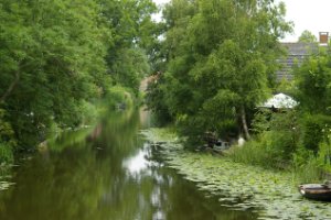 water in het groen Kolhorn