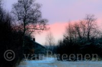 Veen landschap met boom en hout huisje in de sweeuw, Bargerveen, Suzan van Breenen